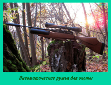 Пневматические ружья для охоты