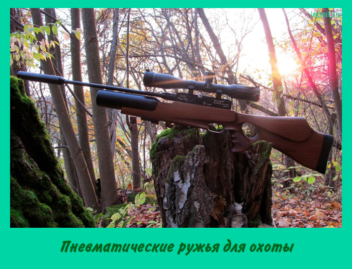 Пневматические ружья для охоты