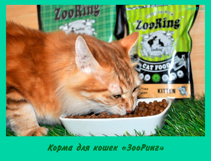 Корма для кошек «ЗооРинг»