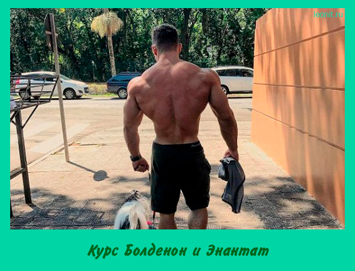 Курс Болденон и Энантат