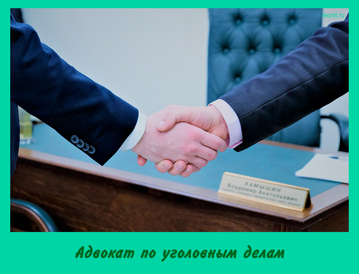 Адвокат по уголовным делам