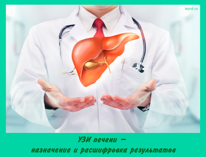 УЗИ печени