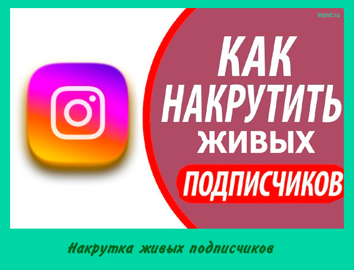Накрутка живых подписчиков