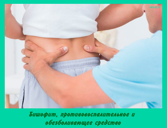 Бишофит