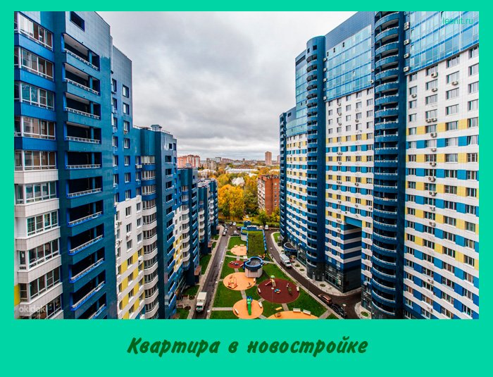 Квартира в новостройке