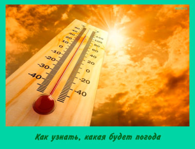 Как узнать, какая будет погода