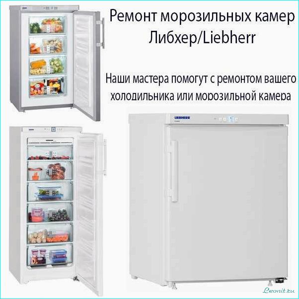 (либхер, официальный, сайт, сервисный, центр) Либхер: официальный сайт и сервисный центр в одном месте