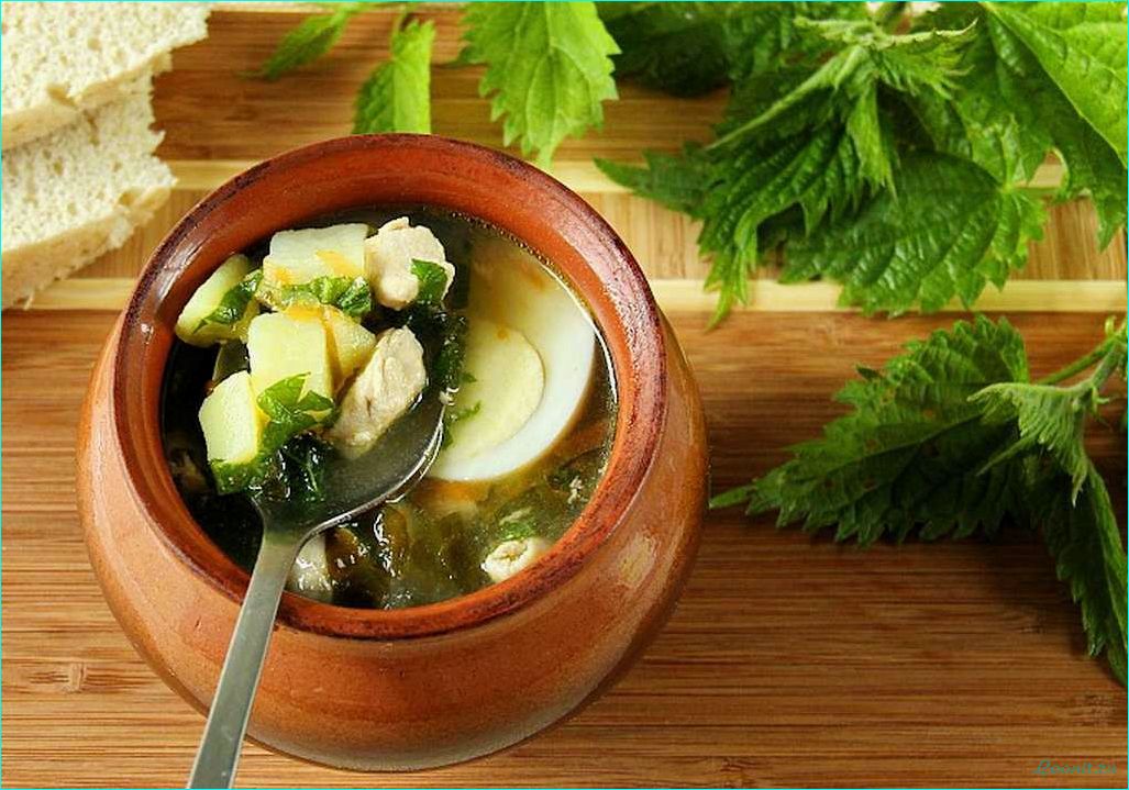 (приготовить, вкусный, полезный, зеленый, борщ) Как приготовить вкусный и полезный зеленый борщ из крапивы — рецепт и секреты приготовления