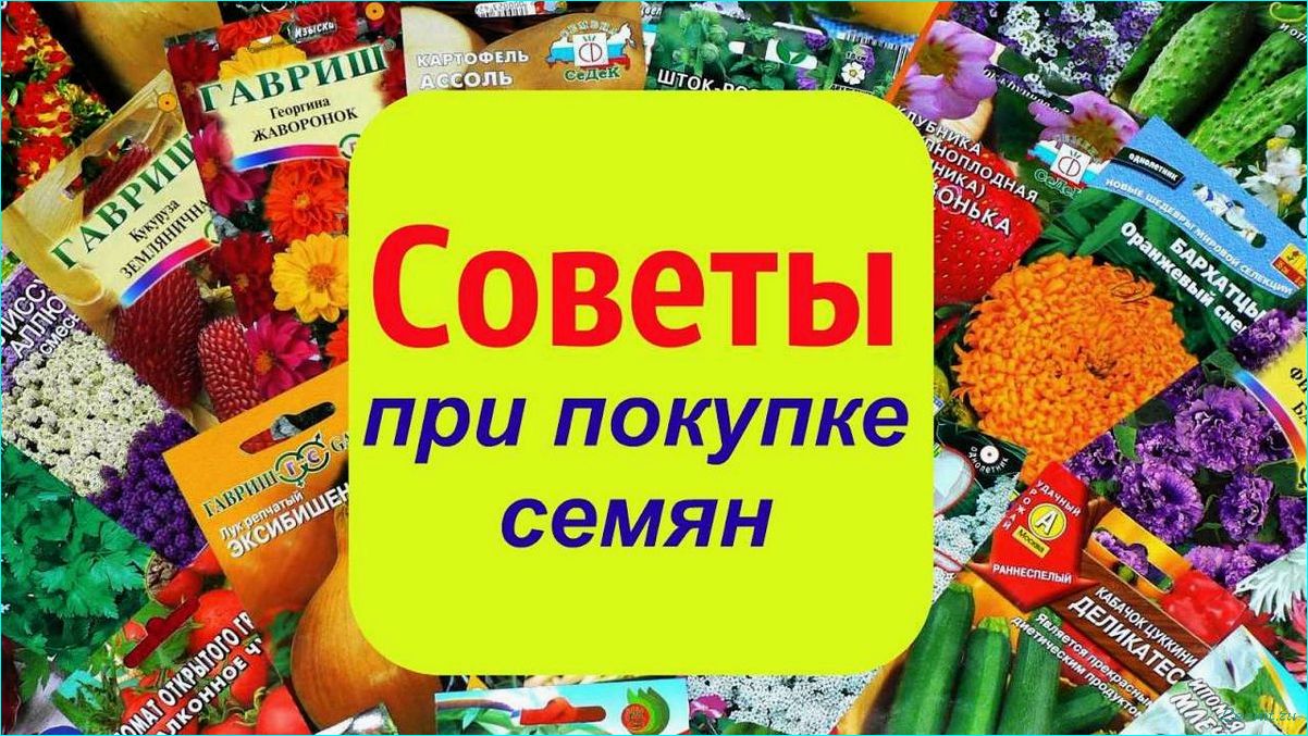 (закупка, семян, производителя) Поставщики семян и посевного материала в России