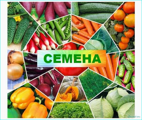 (закупка, семян, производителя) Поставщики семян и посевного материала в России