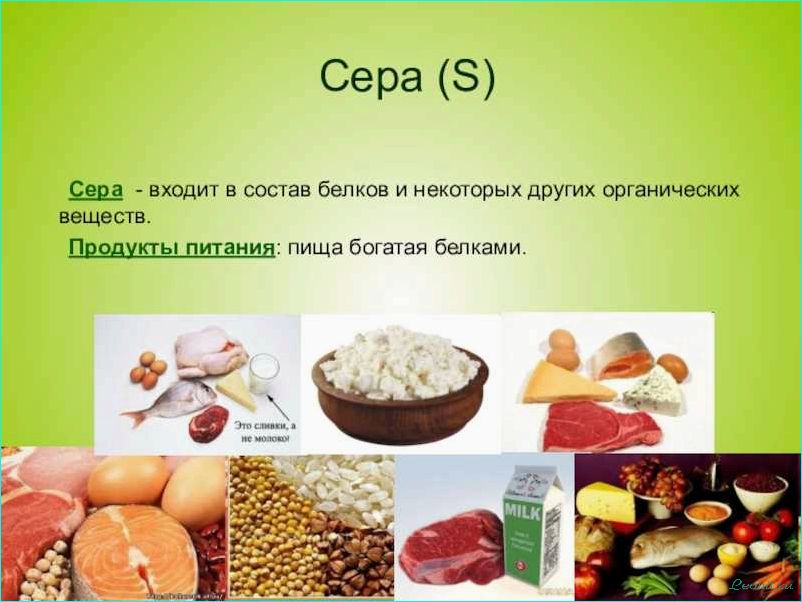 (диета, низким, содержанием, серы, список) Диета с низким содержанием серы: список продуктов и рекомендации