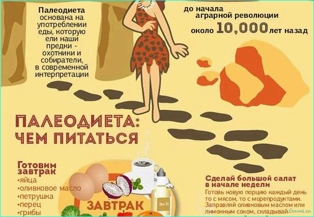 Палеодиета: принципы и польза для здоровья