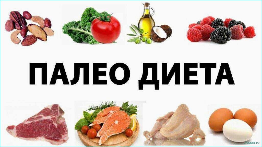 Палеодиета: принципы и польза для здоровья